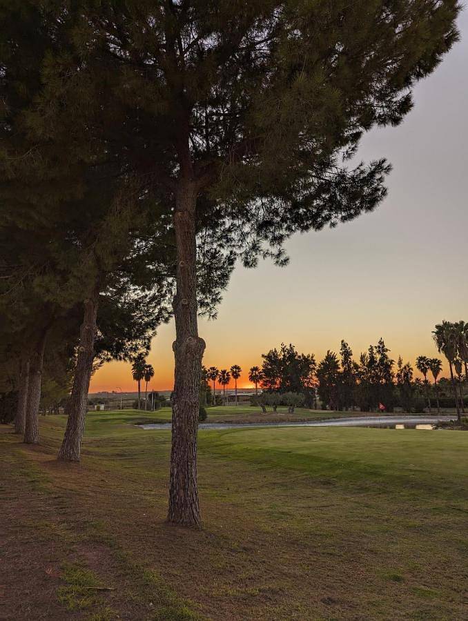 Casa rural para 9 personas, con vistas además de piscina y jardín en Aznalcázar - 4