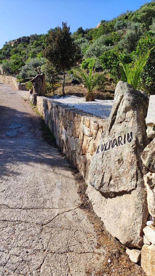 Chambre d’hôte pour 2 personnes, avec jardin ainsi que vue et balcon à San Teodoro