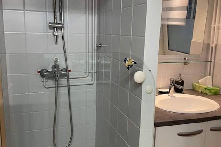 Entire apartment, Studio 25 m² Côté Parc des Contades in Strasbourg, Strasbourg region