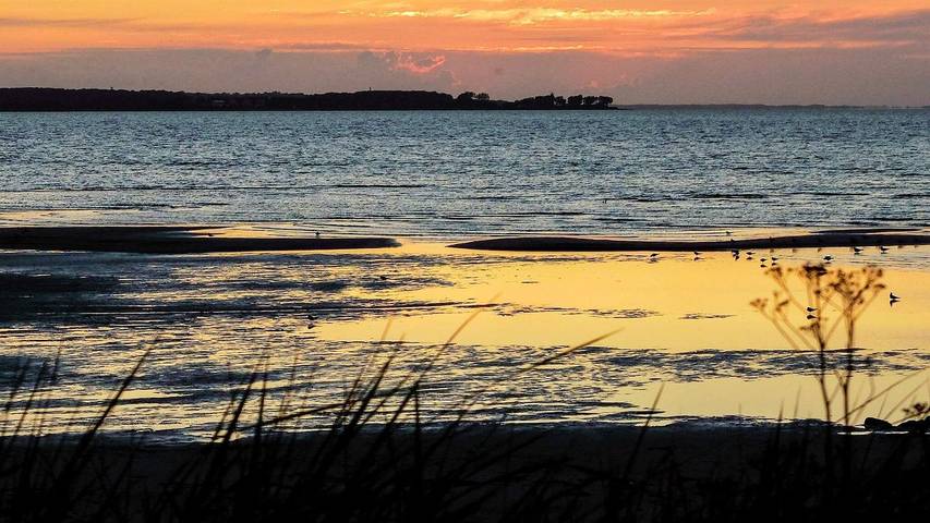 Ferienwohnung für 5 Personen, mit Terrasse in Wendtorf - 4