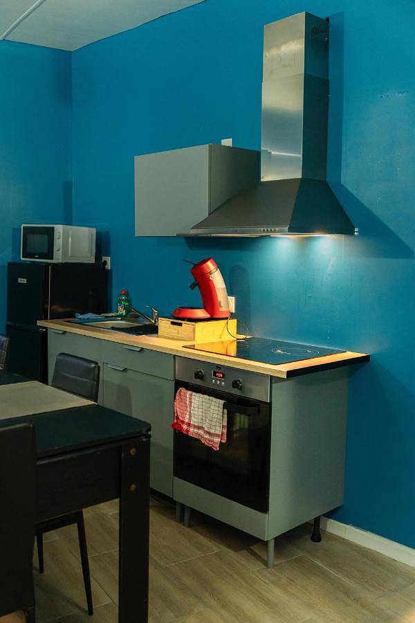 Gîte pour 2 personnes, avec jacuzzi ainsi que terrasse et sauna à Bergues - 4