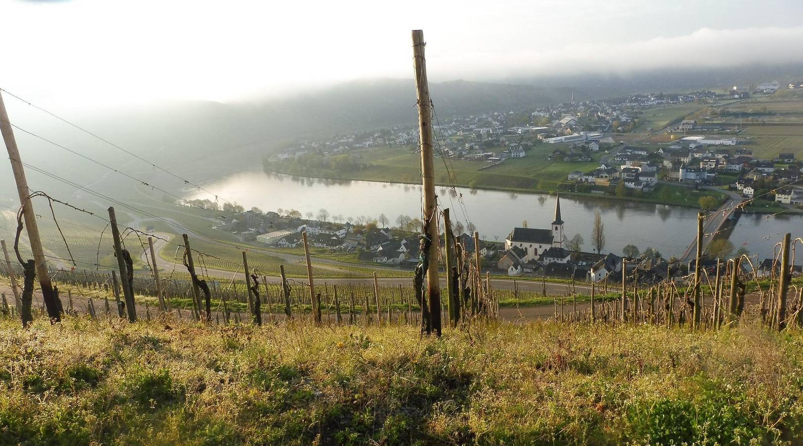 Geheel vakantieappartement, Appartement, douche, Wc, 1 slaapkamer in Piesport, Bernkastel-Kues en Omgeving