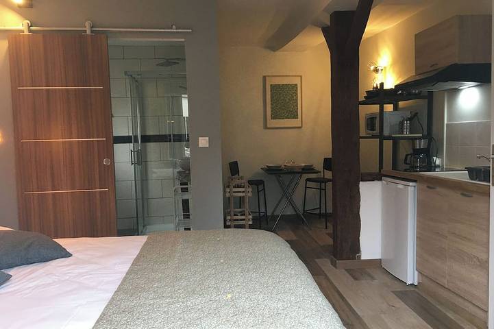 Ganze Wohnung, Studio Apartment - Downtown Saint-Aignan - 5 minutes from Beauval Zoo in Saint-Aignan, Romorantin-Lanthenay und Umgebung