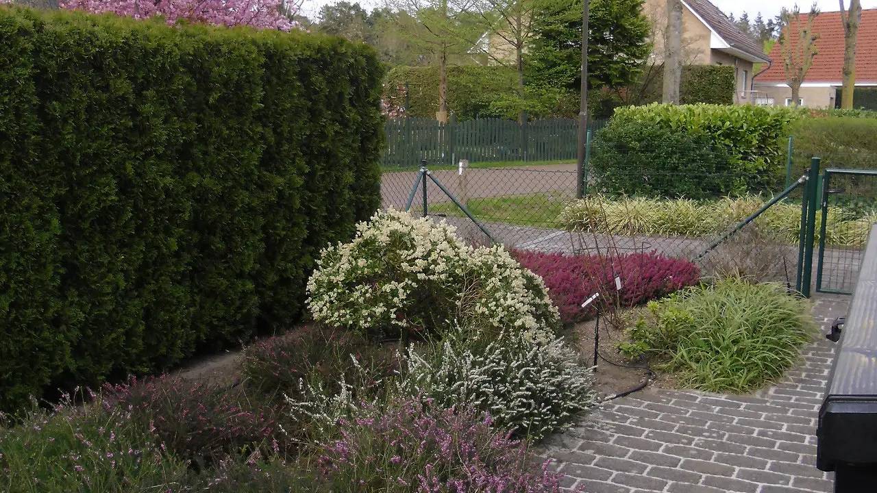 Ganze Ferienwohnung, Ferienwohnung für 4 Personen (90 m²) in Lindwedel in Lindwedel, Aller-Leine-Tal