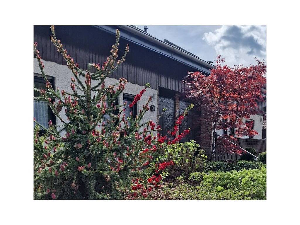 Ferienhaus Korn am Bärensteig in Bundenthal, Landkreis Südwestpfalz