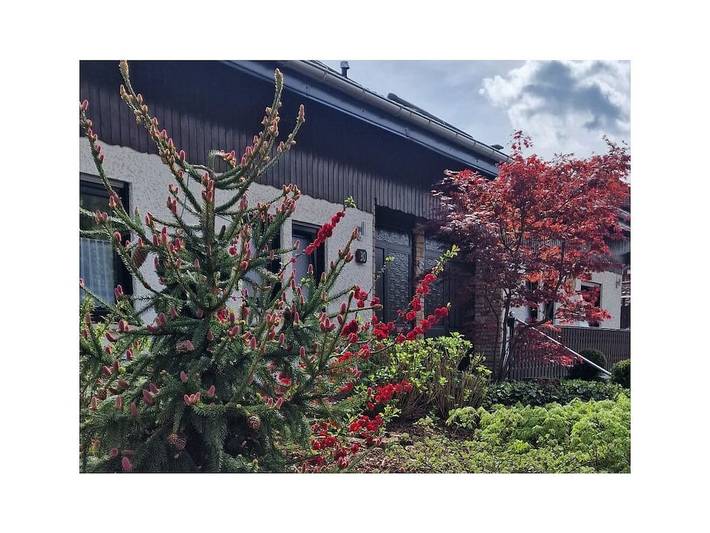 Ferienhaus für 6 Personen im Dahner Felsenland - 2