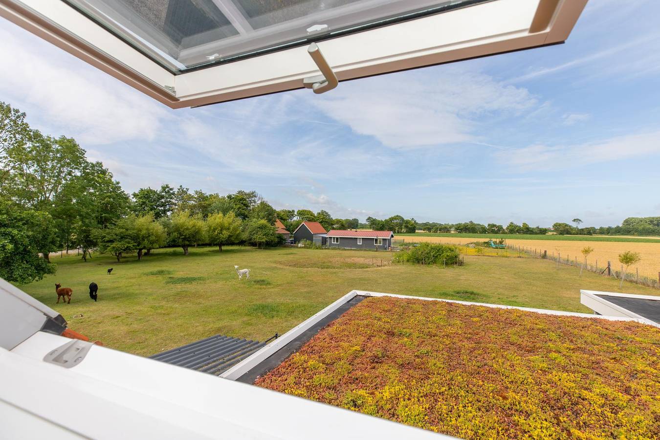 Ferienhaus für 4 Personen ca. 45 qm in Koudekerke, Zeeland (Küste von Zeeland) in Koudekerke, Walcheren