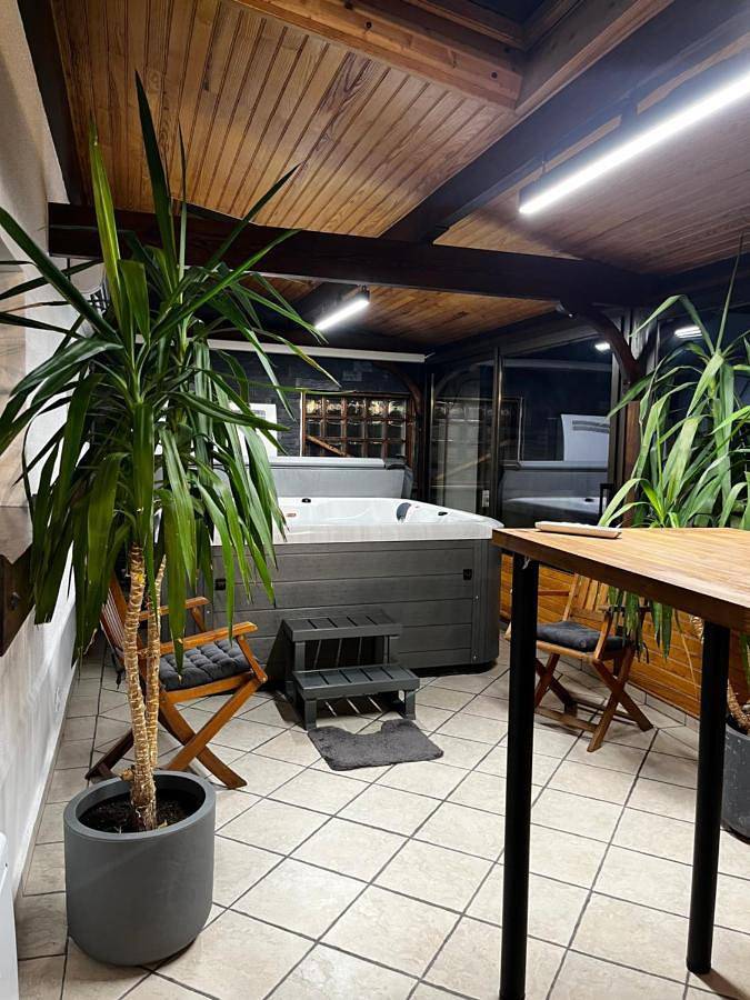 Location de vacances pour 2 personnes, avec jacuzzi et terrasse à Villepinte - 3