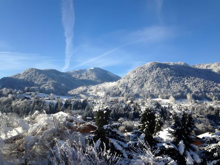 Gîte pour 12 personnes, avec jardin et jacuzzi à Montriond - 4