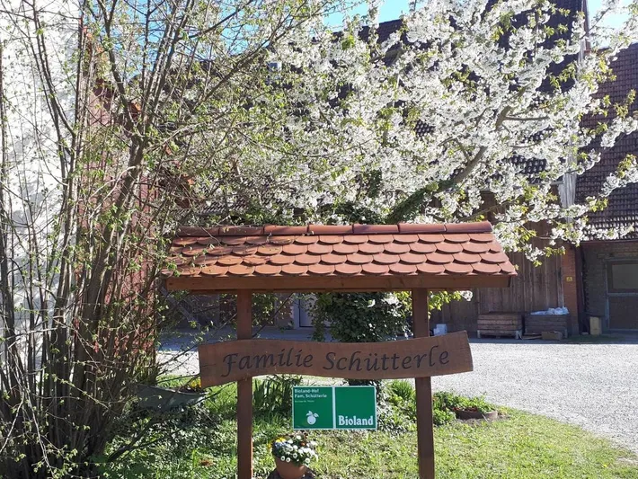 Ganze Wohnung, Two-Bedroom Apartment in Friedrichshafen, Region Bodensee-Oberschwaben