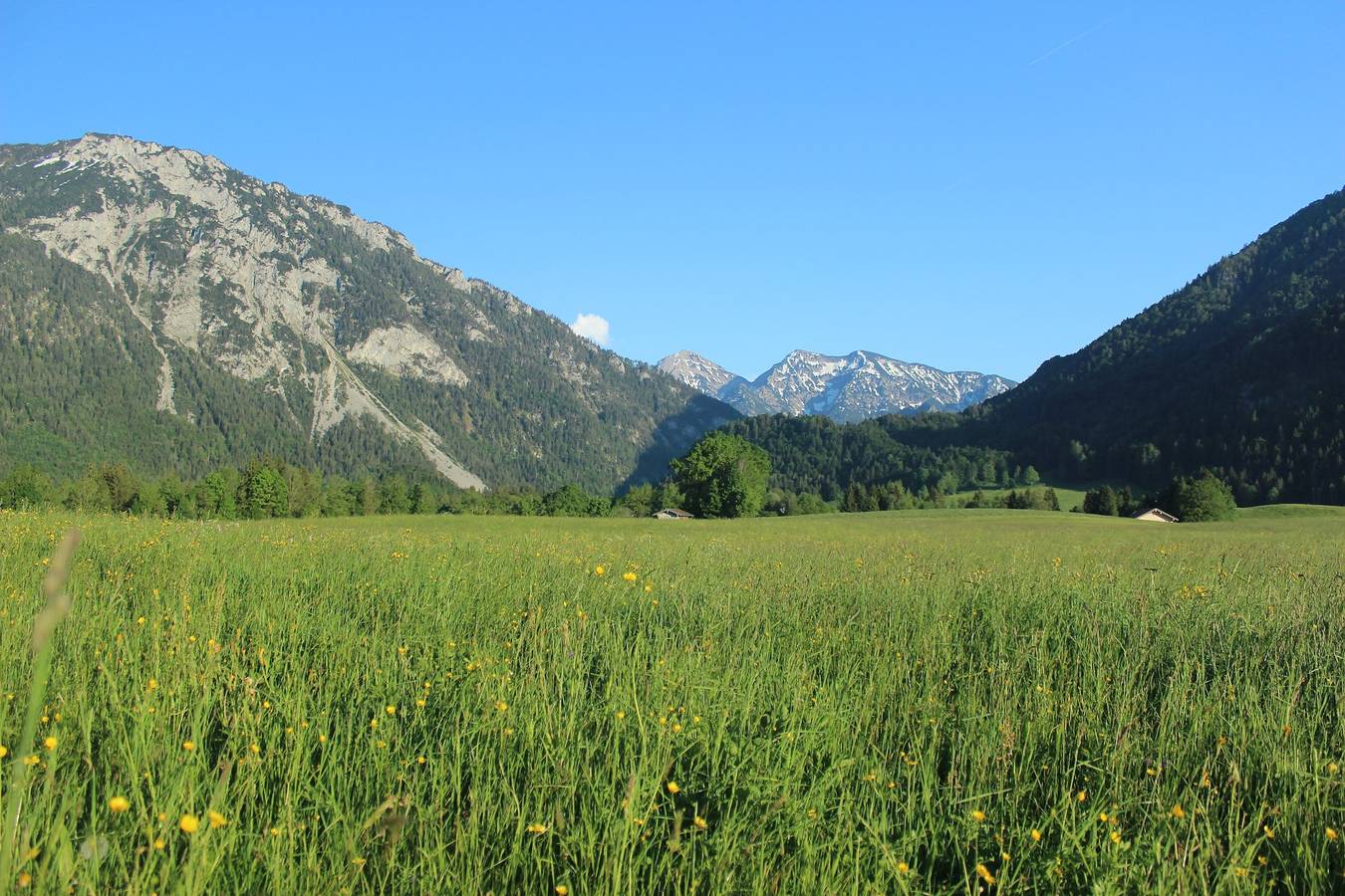 Allinger Hof inkl. Chiemgaukarte - Ferienwohnung Edelweiß 49qm, Balkon, Kochnische, 2 Schlafzimmer, 1 Wohnzimmer in Ruhpolding, Bayerische Alpen