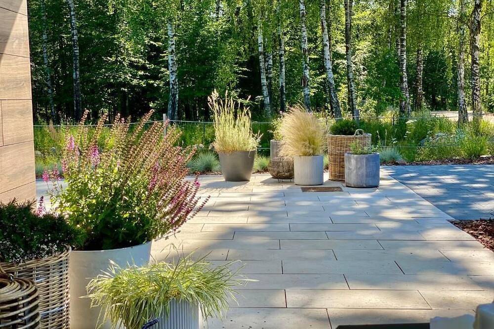 Ganze Wohnung, Leśny Apartament - Shuuumi Las in Chmielno