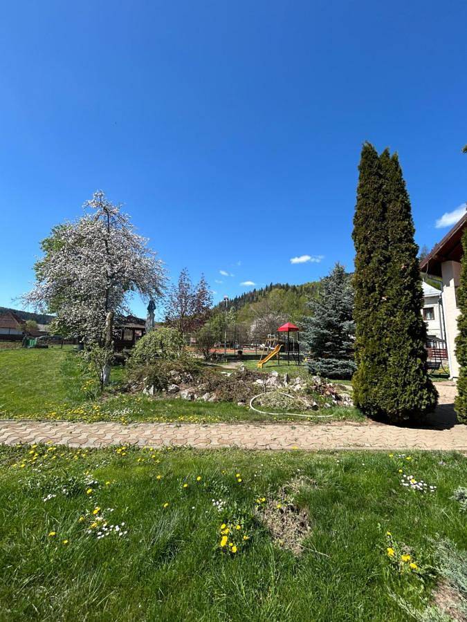 Maison d’hôte pour 18 personnes, avec jardin, animaux acceptés dans Sucevița - 3