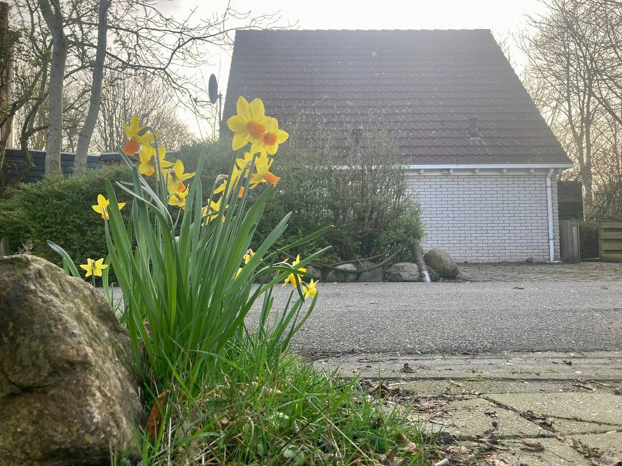5 Pers Haus mit Einbauküche und 2 Badezimmern in Oostmahorn, Dongeradeel