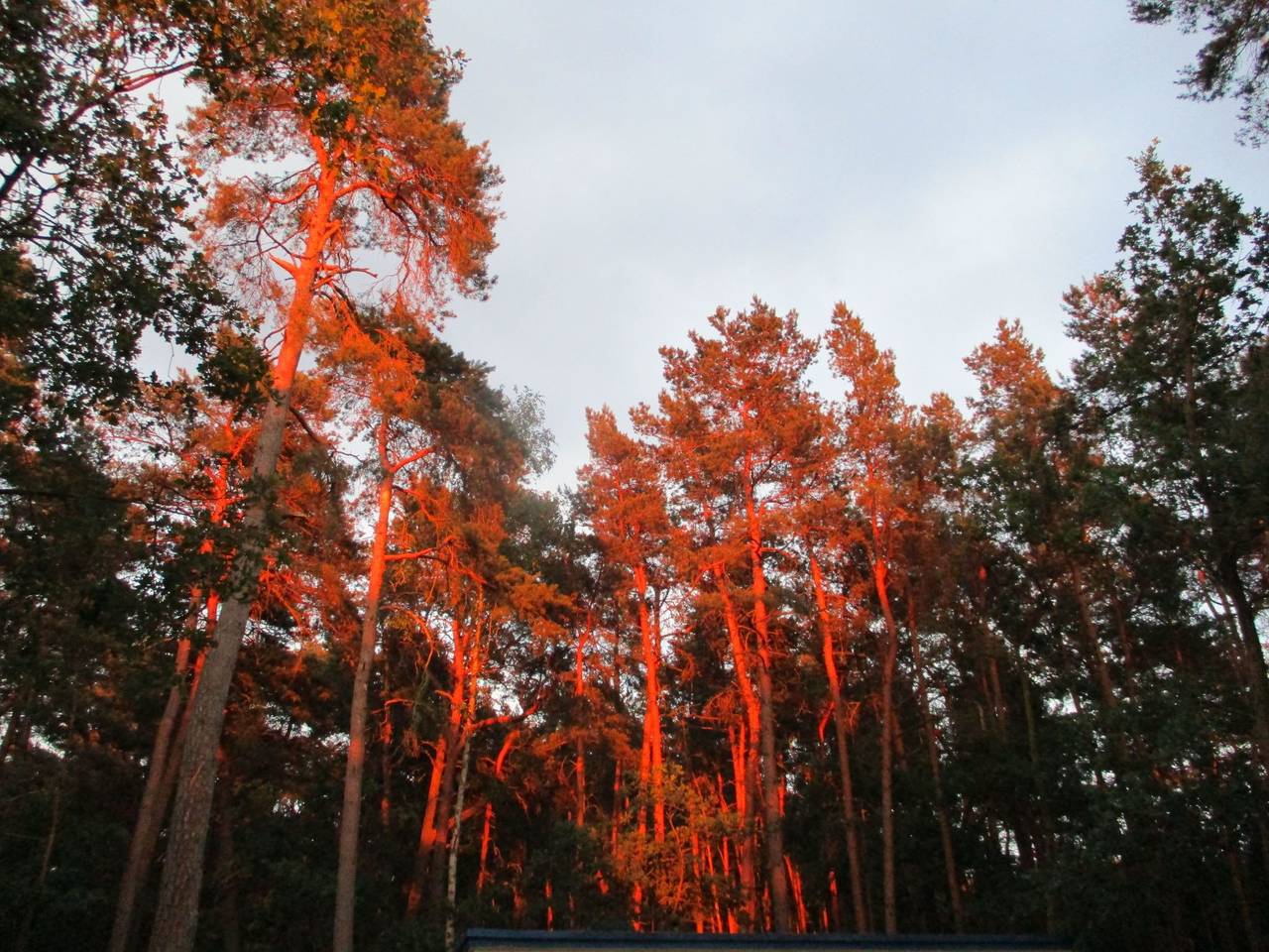 Appartement entier, Appartement mit Garten, Grill und Terrasse in Havelaue, Westhavelland