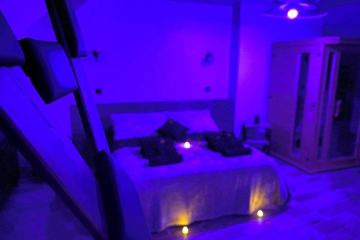 Appartement de vacances pour 2 personnes, avec sauna et jacuzzi, animaux acceptés dans Seine-et-Marne - 4