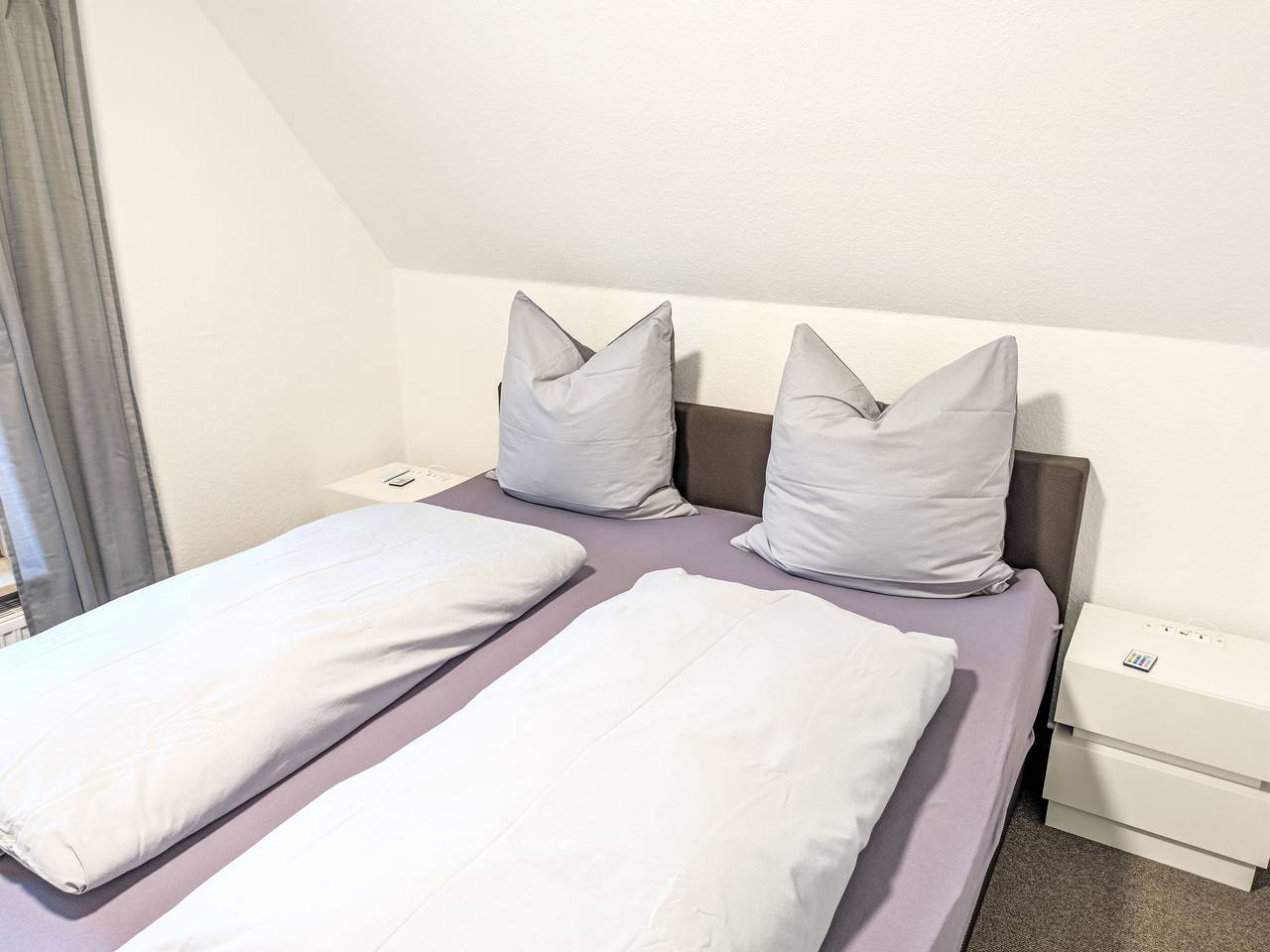 Ganze Wohnung, Graugans in Freiburg (Elbe), Cuxland