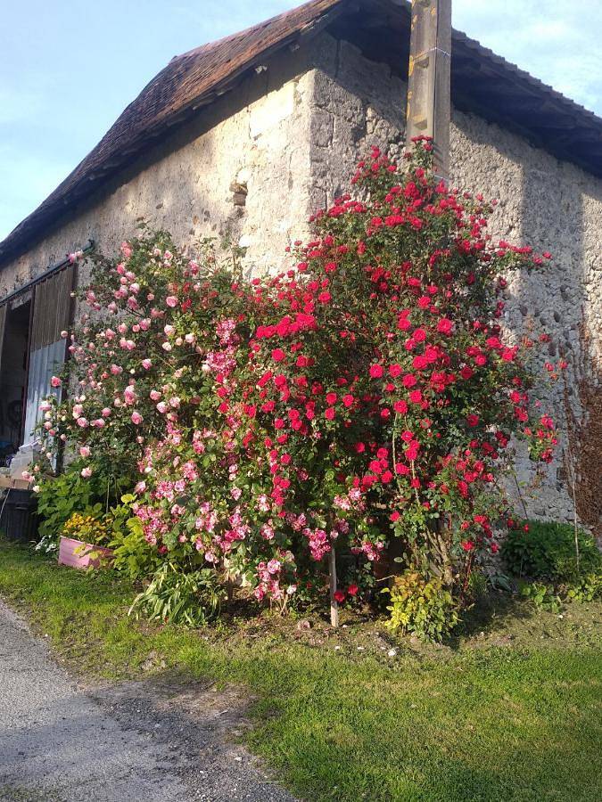 Location de vacances pour 8 personnes, avec Terrasse ainsi que Jardin et Vue à Pillac - 3