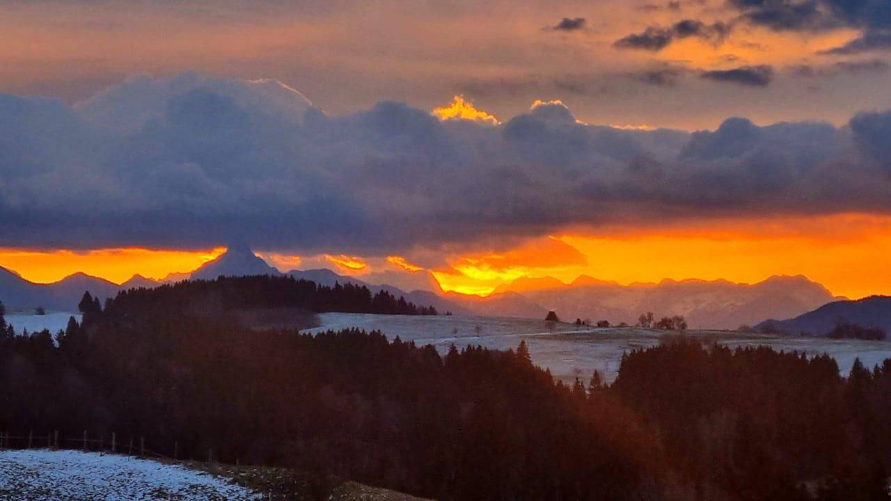 Entire holiday apartment, Ferienwohnung für 4 Personen (60 m²) in Oy-Mittelberg in Oy-Mittelberg, Bavarian Swabia
