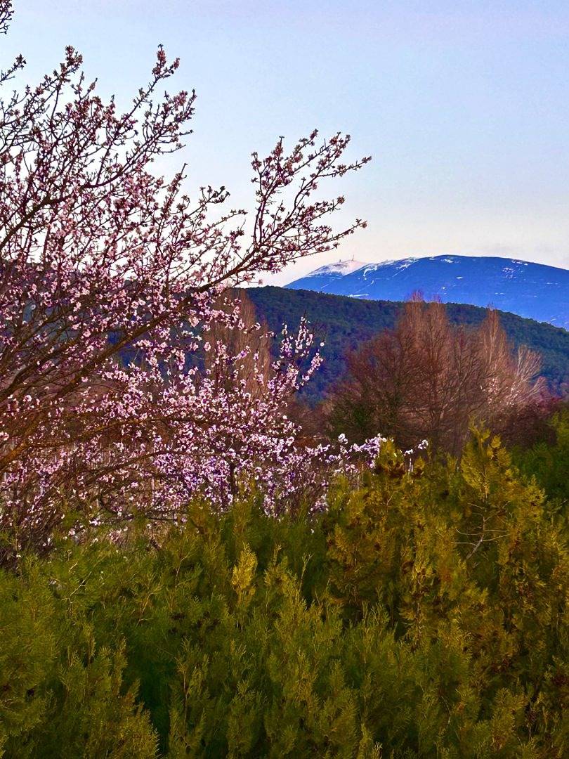 Villa luxe • 10 personnes • piscine in Vaison-la-Romaine, Parc naturel régional du Mont-Ventoux
