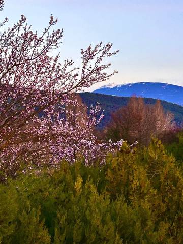 Location de vacances pour 10 personnes, avec jardin ainsi que balcon et piscine dans Dentelles de Montmirail