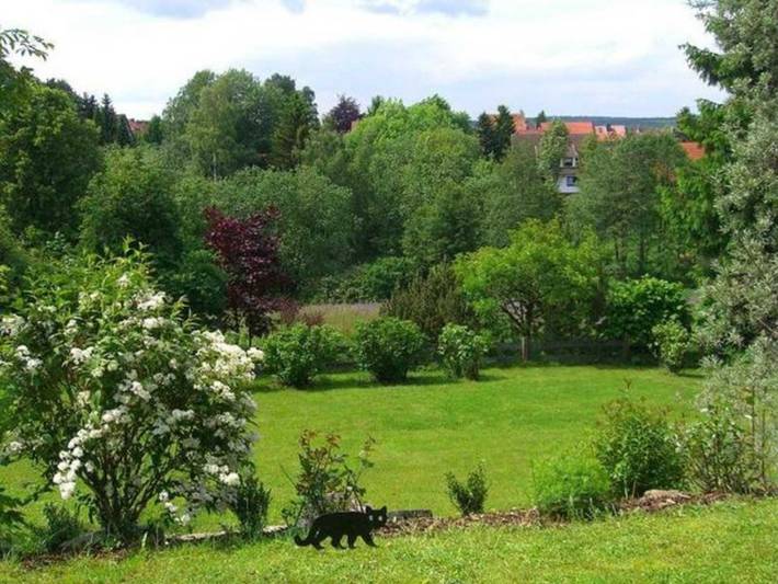 Ferienwohnung für 2 Personen, mit Garten und Terrasse, kinderfreundlich in Clausthal-Zellerfeld - 4