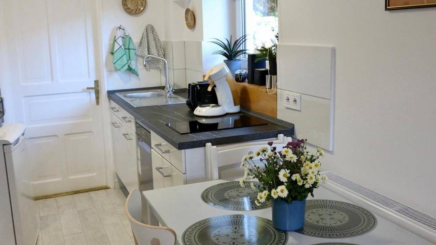 Gîte pour 3 personnes, avec vue et jardin à Sinaia - 4