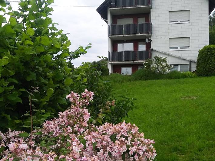 Ferienwohnung für 4 Personen, mit Balkon, mit Haustier in Waldkirch