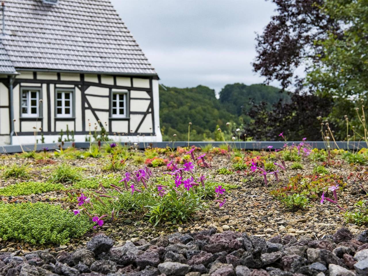 Ferienhaus Landleben auf Zeit - 4-Bett-Ferienhaus, Dusche/Wc in Utzerath, Vulkaneifel