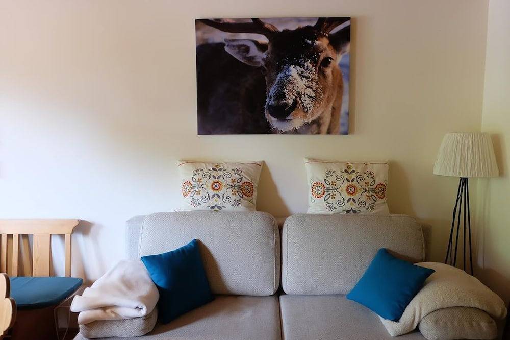 Entire apartment, Appel, Apartment - App. \"Appel\"/1 bedroom/living room/shower, Wc in Werfenweng, Tennengau