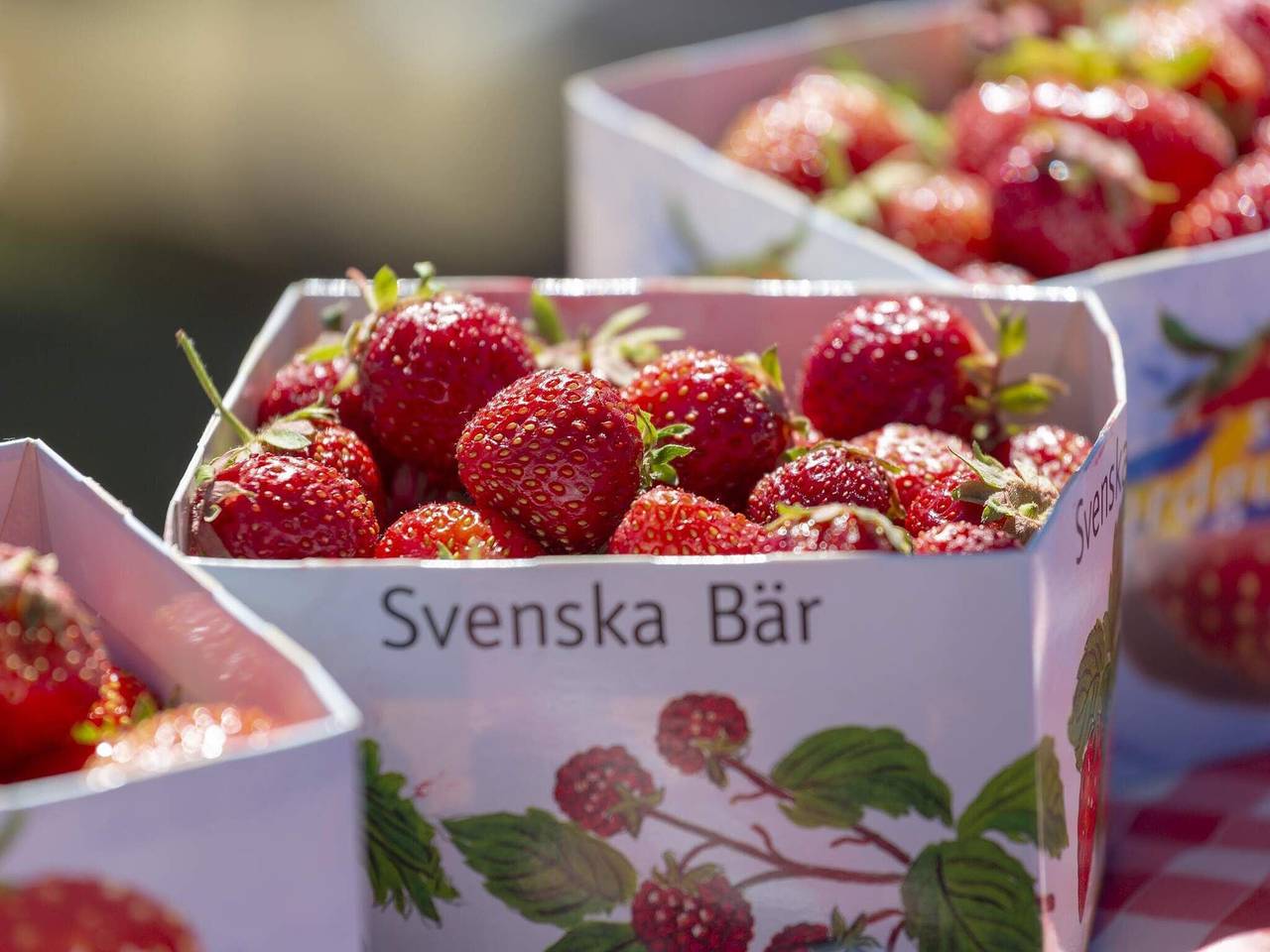 4 stjarniga stuga i Växjö in Kronobergs