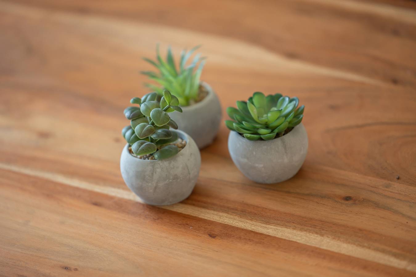 Apartamento vacacional entero, Alte Fischfabrik Inselglück in Lauterbach (Rügen), Putbus