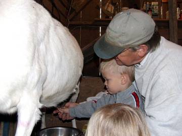 Lake House for 6 Guests in Ozark Mountains, Missouri, Picture 2