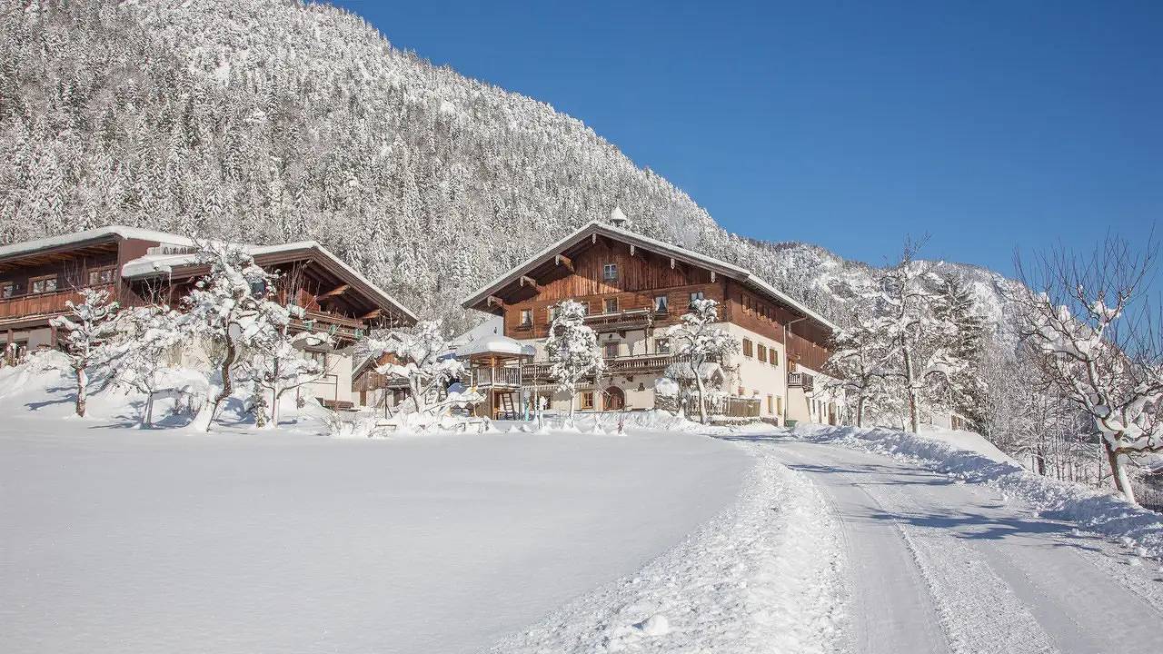 Ganze Ferienwohnung, Ferienwohnung für 4 Personen (110 m²) in Unken in Unken, Chiemgauer Alpen
