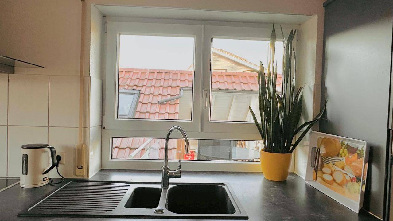 Appartement entier, Ferienwohnung Regina mit traumhafter Aussicht in Jechtingen, Sasbach am Kaiserstuhl