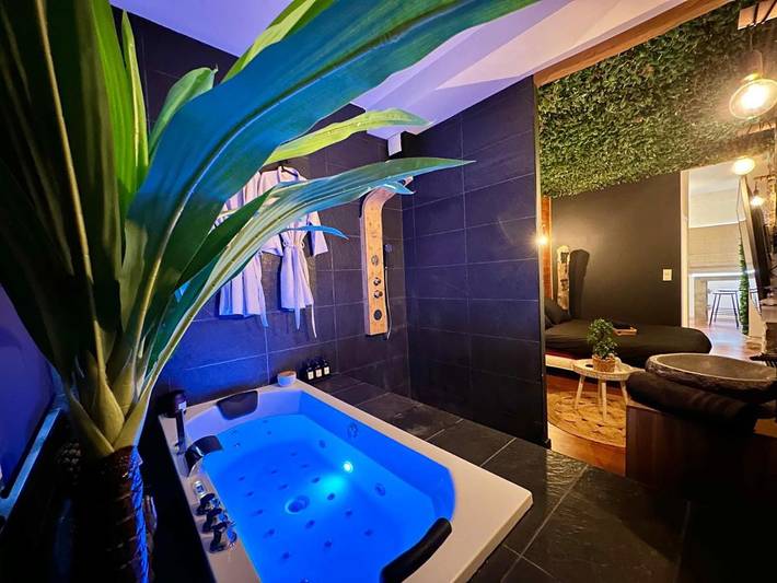 Gîte pour 2 personnes, avec jacuzzi dans Theatre Des Feuillants Dijon - 2