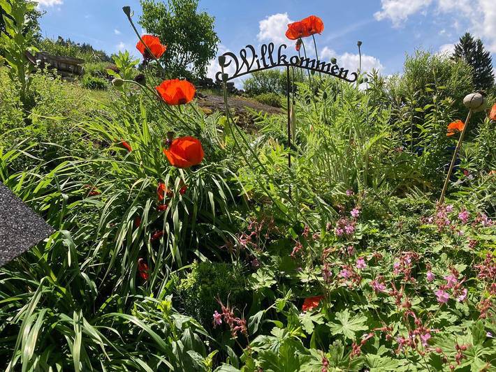 Holiday apartment for 1 people - 1