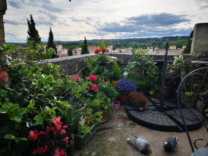 Gîte pour 4 personnes, avec terrasse dans Palais des Papes - 2