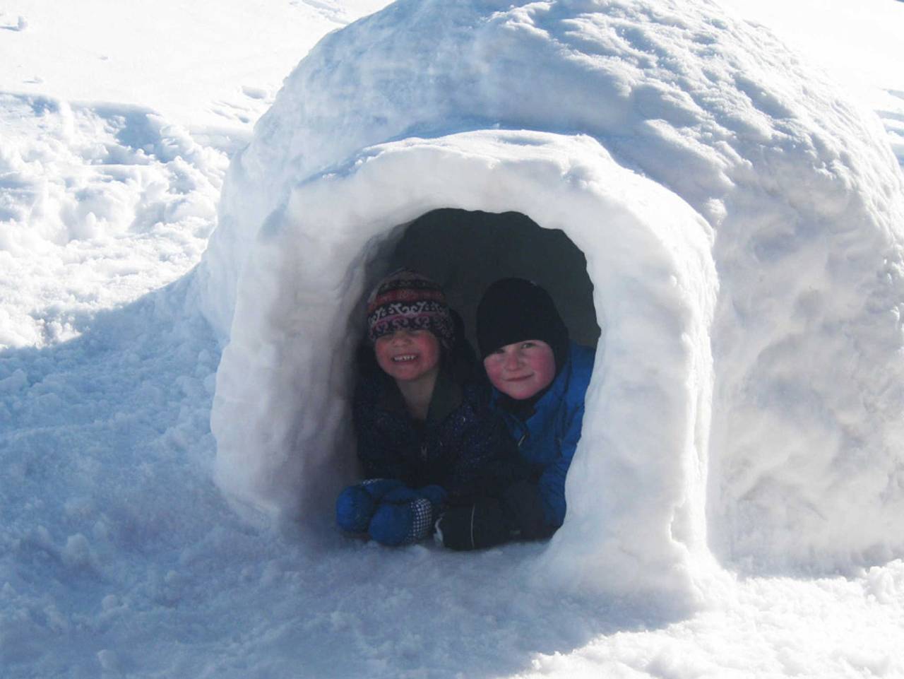 Berghammers Biobauernhof - Meisennest in Gmund, Bayerische Alpen
