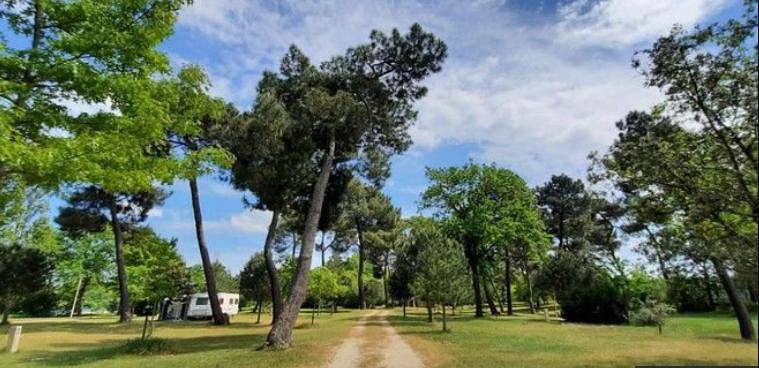 Camping La Maltournée in Tigy, Vallée de la Loire