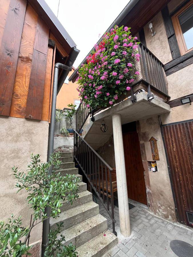 Appartement entier, Duplex Apartment in Ottrott, Bas-Rhin Alsace