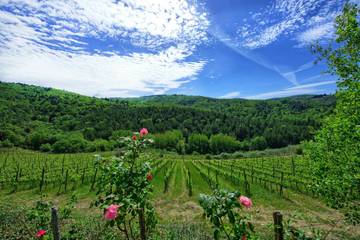 Casa Vacanza per 8 Persone in Gaiole in Chianti, Chianti, Foto 3