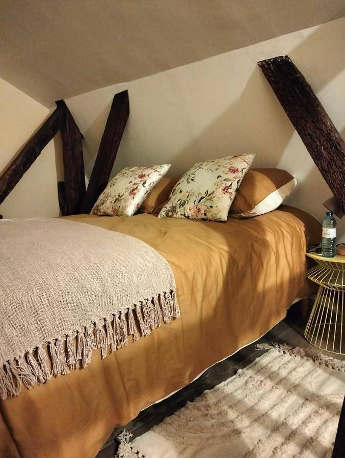 Gîte pour 2 personnes, avec terrasse à Chinon - 3