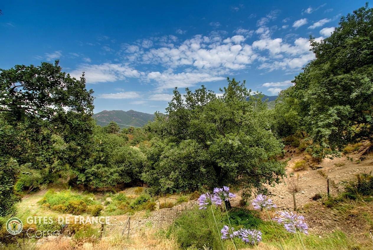 Bulmenti in Venaco, Parc naturel régional de Corse