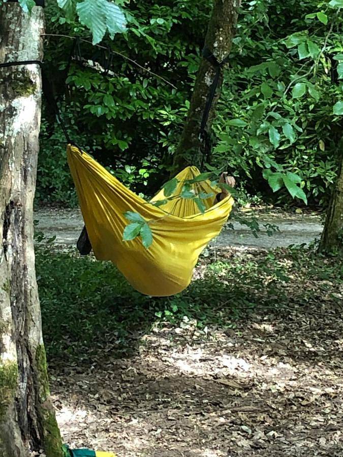 Gîte pour 4 personnes, avec Terrasse et Vue à Saint-Benoît (Vienne)