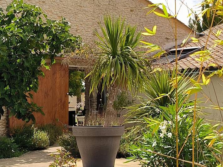 Location de vacances pour 5 personnes, avec jardin ainsi que vue et piscine dans Cartelègue - 4