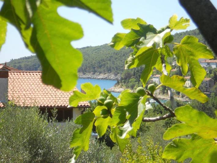 Ferienwohnung für 2 Personen, mit Balkon - 1