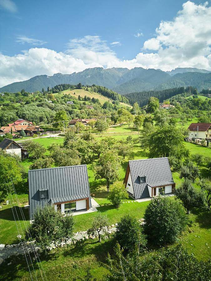 Domek letniskowy dla 4 osób, z ogród i widok w Karpaty (Rumunia)