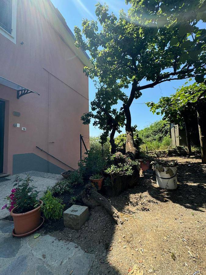 Ganze Wohnung, Ca' dii Bürsa - Homy 5 Terre in Volastra, Riomaggiore Gemeinde
