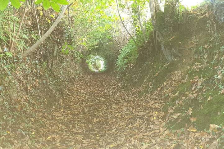 Hôtel pour 2 personnes à Mézières-sur-Couesnon - 4